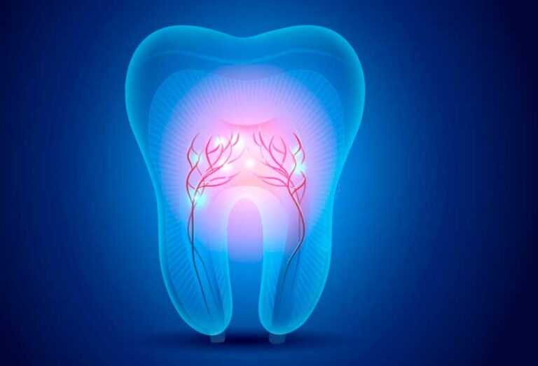 El potencial futuro de las células madres y pulpa dental